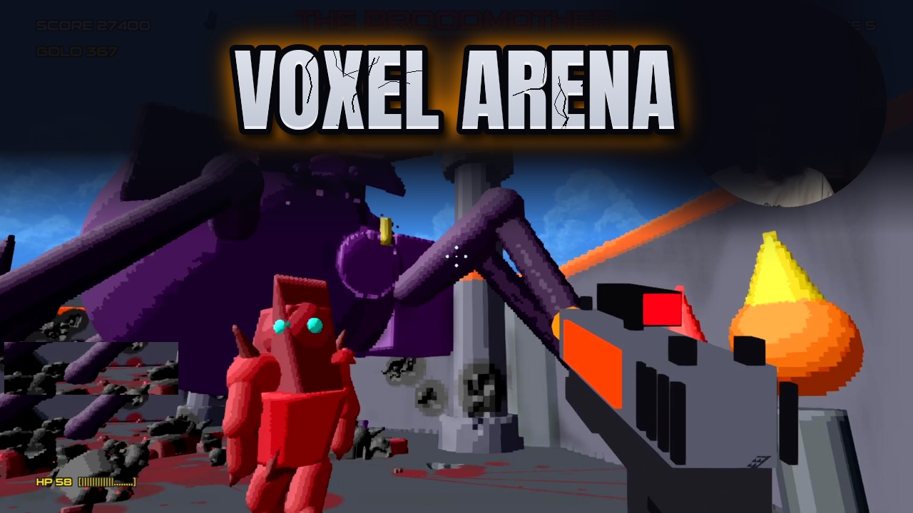Voxel Arena